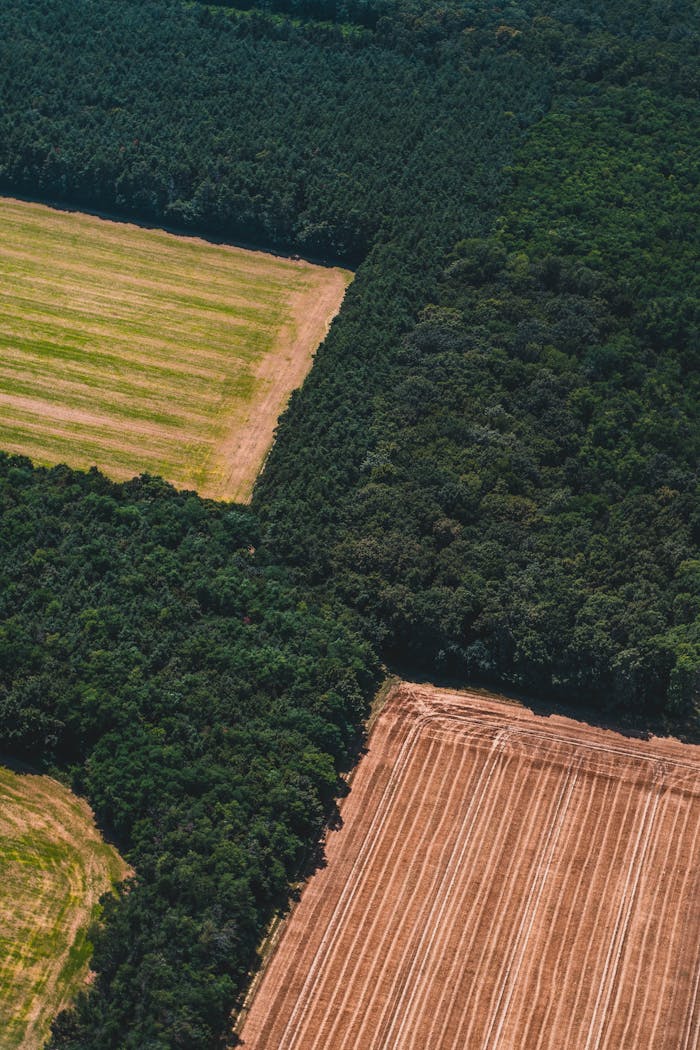 A stunning aerial view showcasing the intersection of lush forest and cultivated farmland.